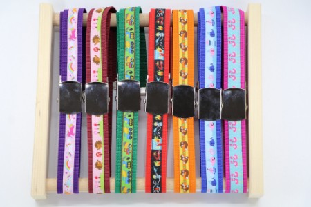 Bild für Kategorie Kindergurt