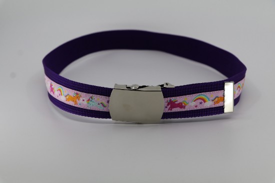 Bild von Kindergurt Einhörner mit Regenbogen rosa