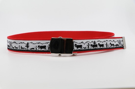 Bild von Kindergurt Alpabzug auf rot