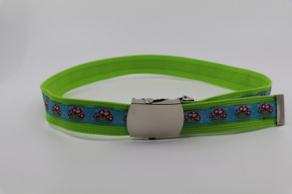 Bild von Kindergurt Pilze